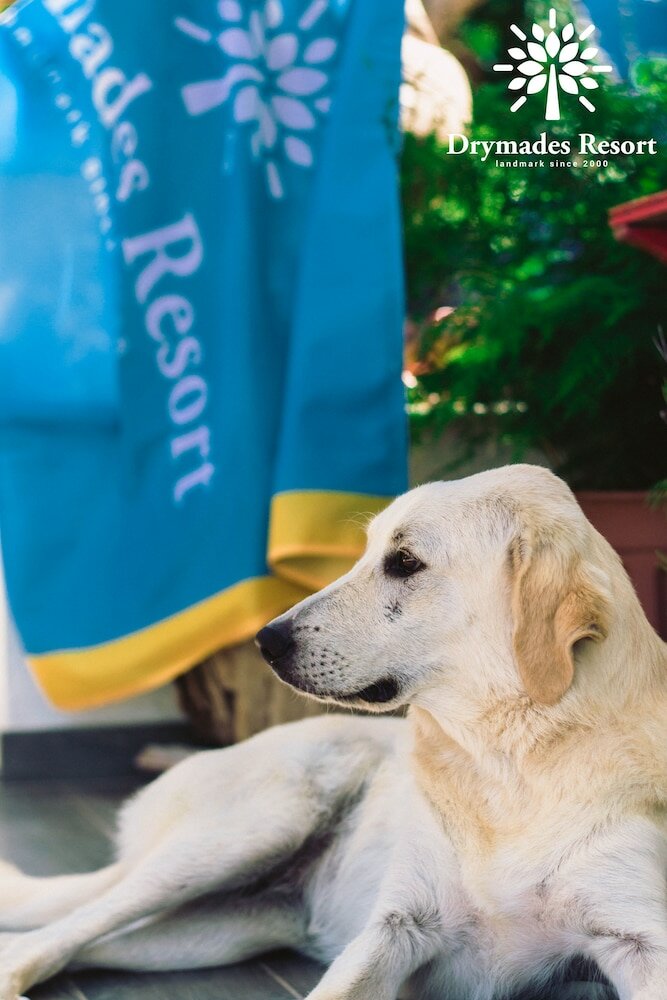Фото Drymades Resort