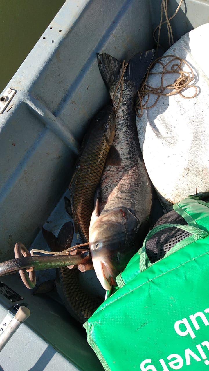 Фото Дикая Земля