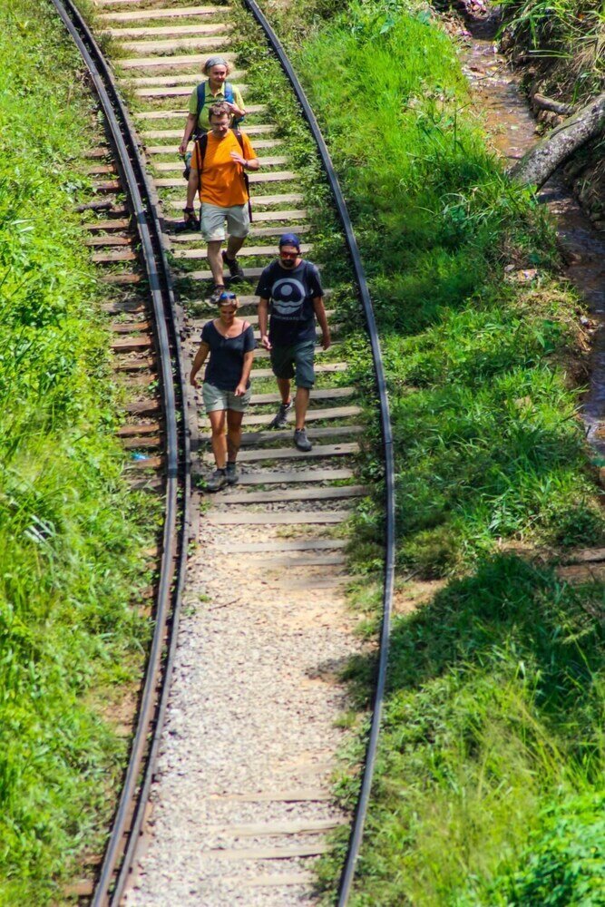 Фото Rockvila Guest House