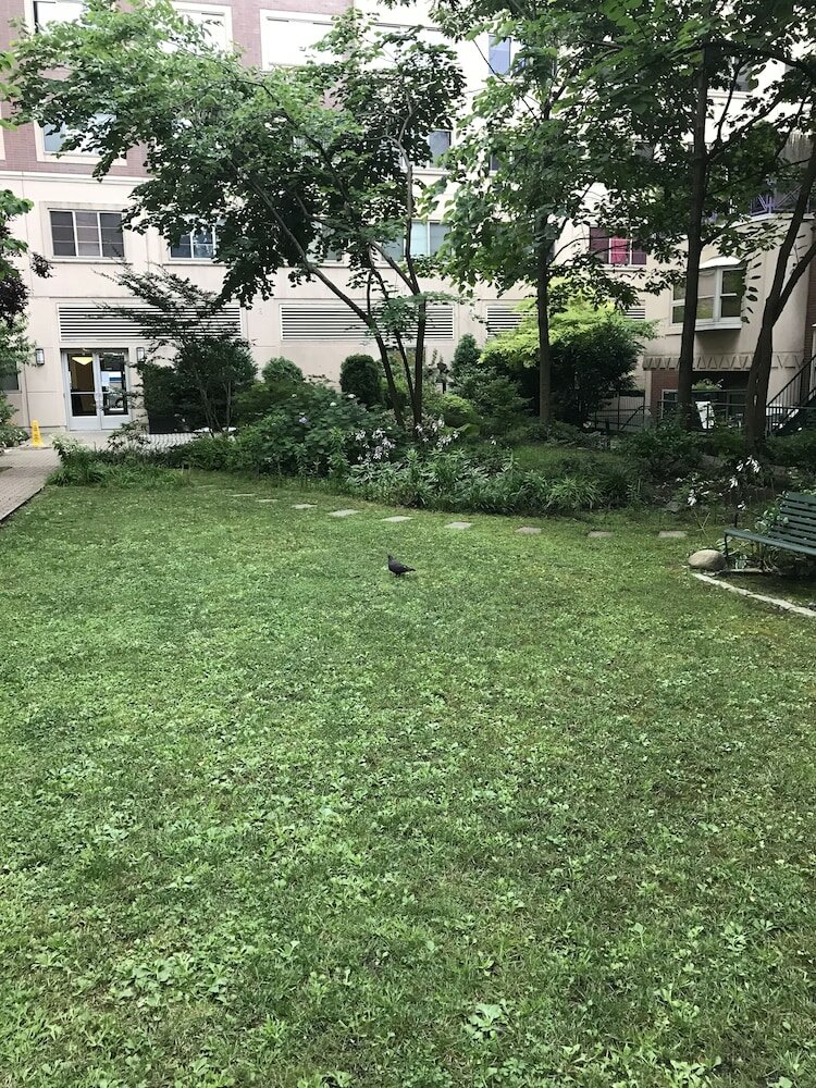 Фото My Favorite Place-NYC-Shared Apartment