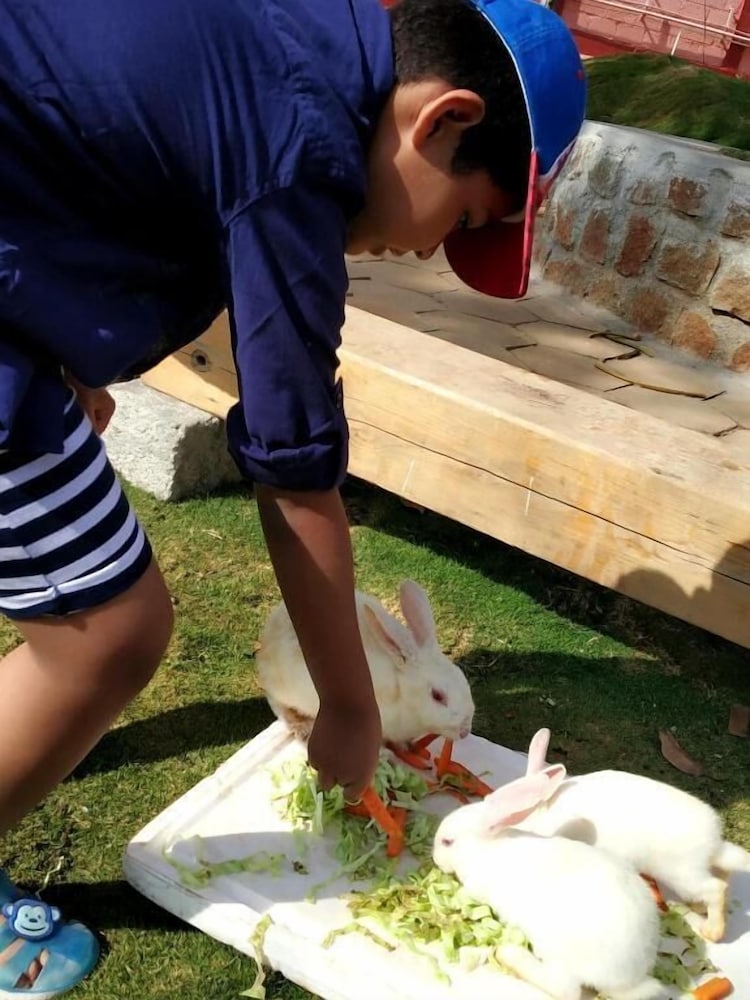 Фото Fundera Aqua Stay