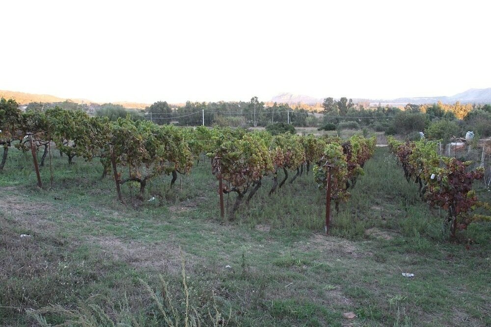 Фото Agriturismo B&b Sa Inza