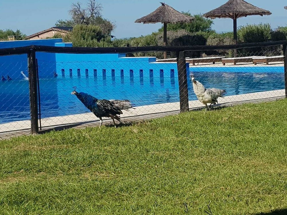 Фото La Maina Cabañas