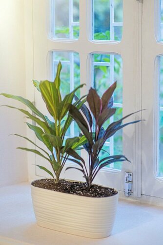 Апартаменты H&b Apartments Zubalashvili в Тбилиси