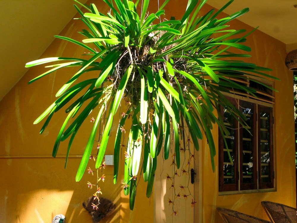 Фото Seashore Mirissa