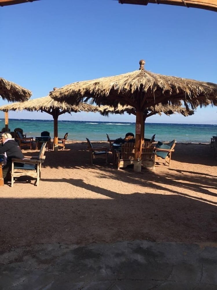 Фото Sunrise Dahab Camp