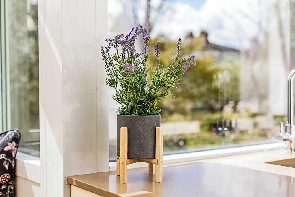 Фото The Flamingo Villa