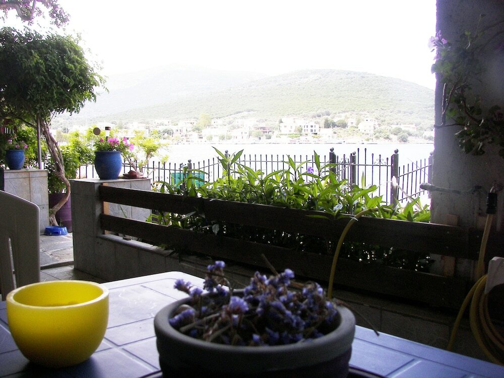 Фото Blue Dreams