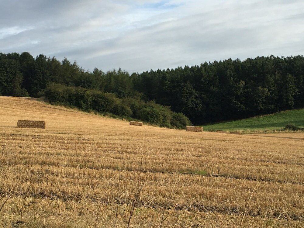 Фото 1 Twizell Lane