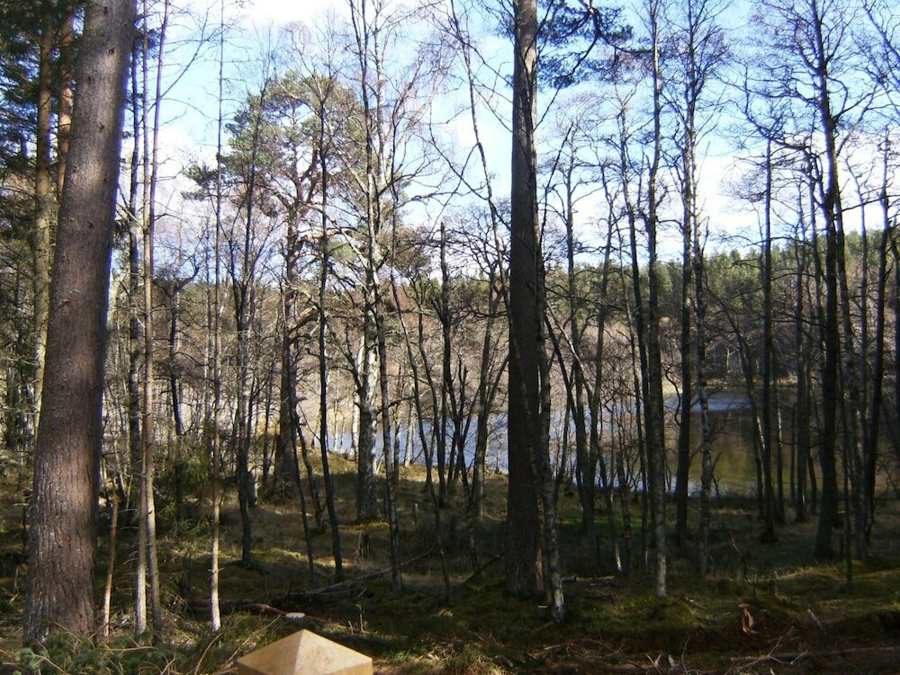 Фото Cairngorm Lodges