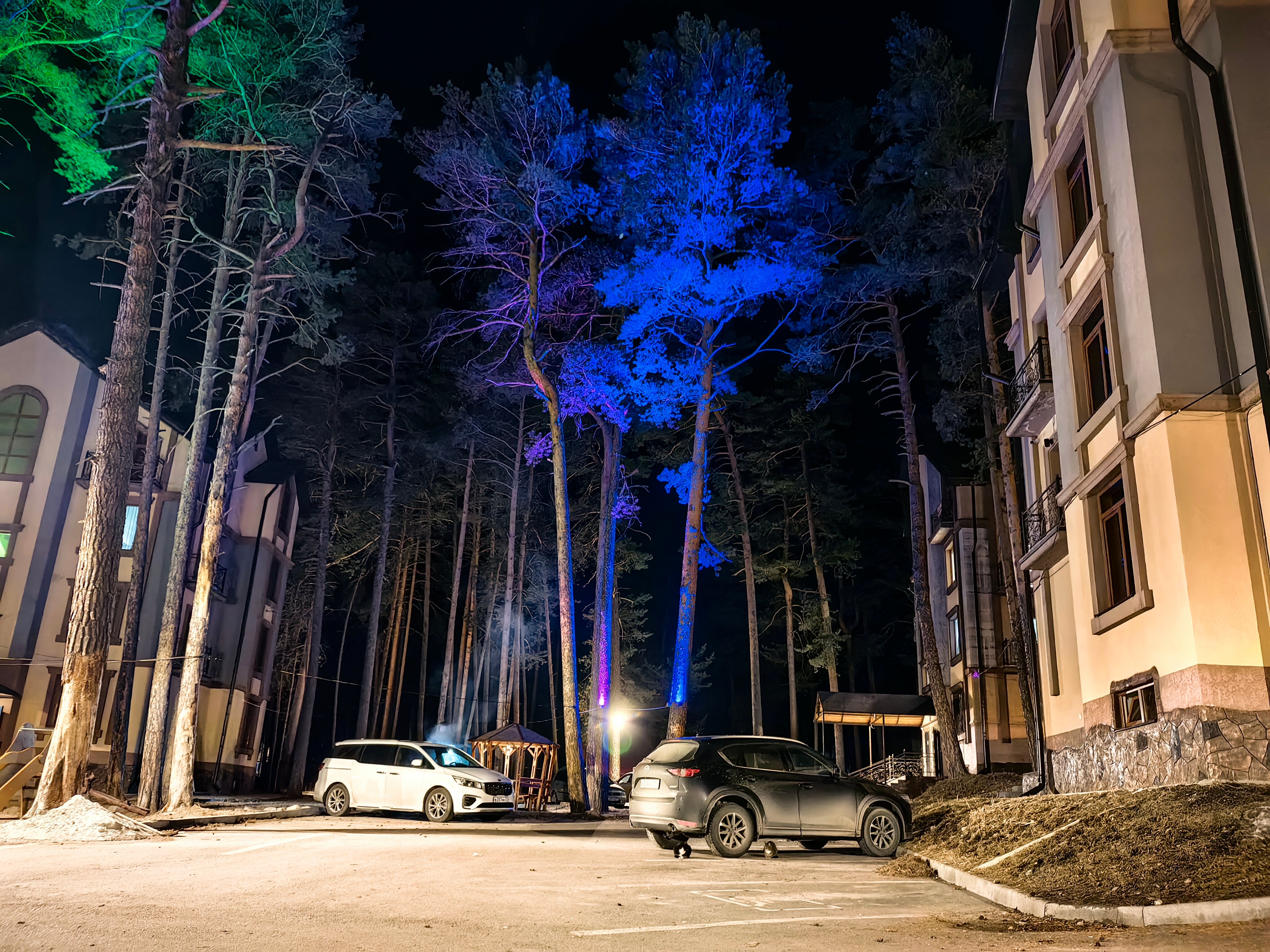 Фото Лисичкинhouse