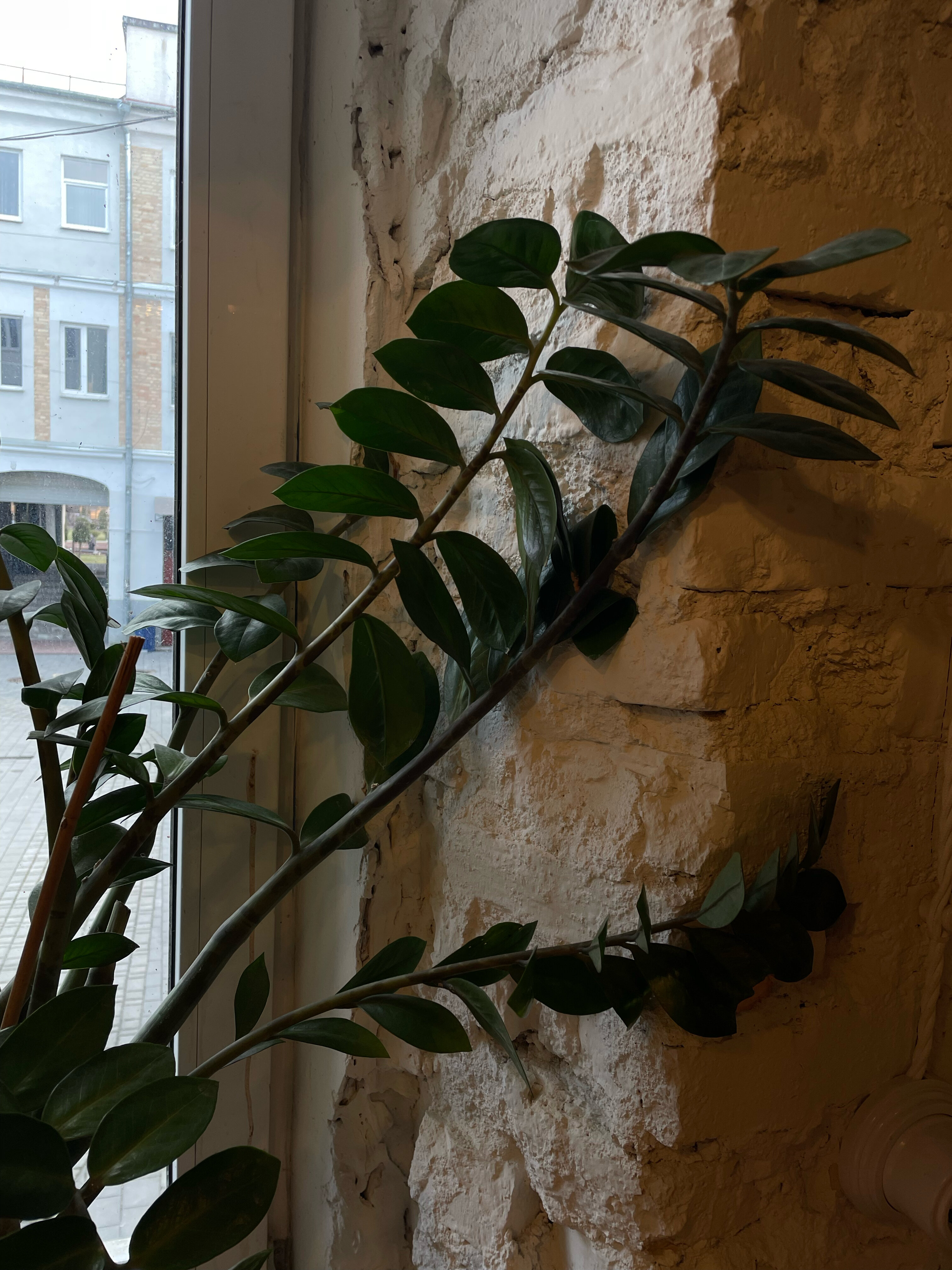 Фото Гостим