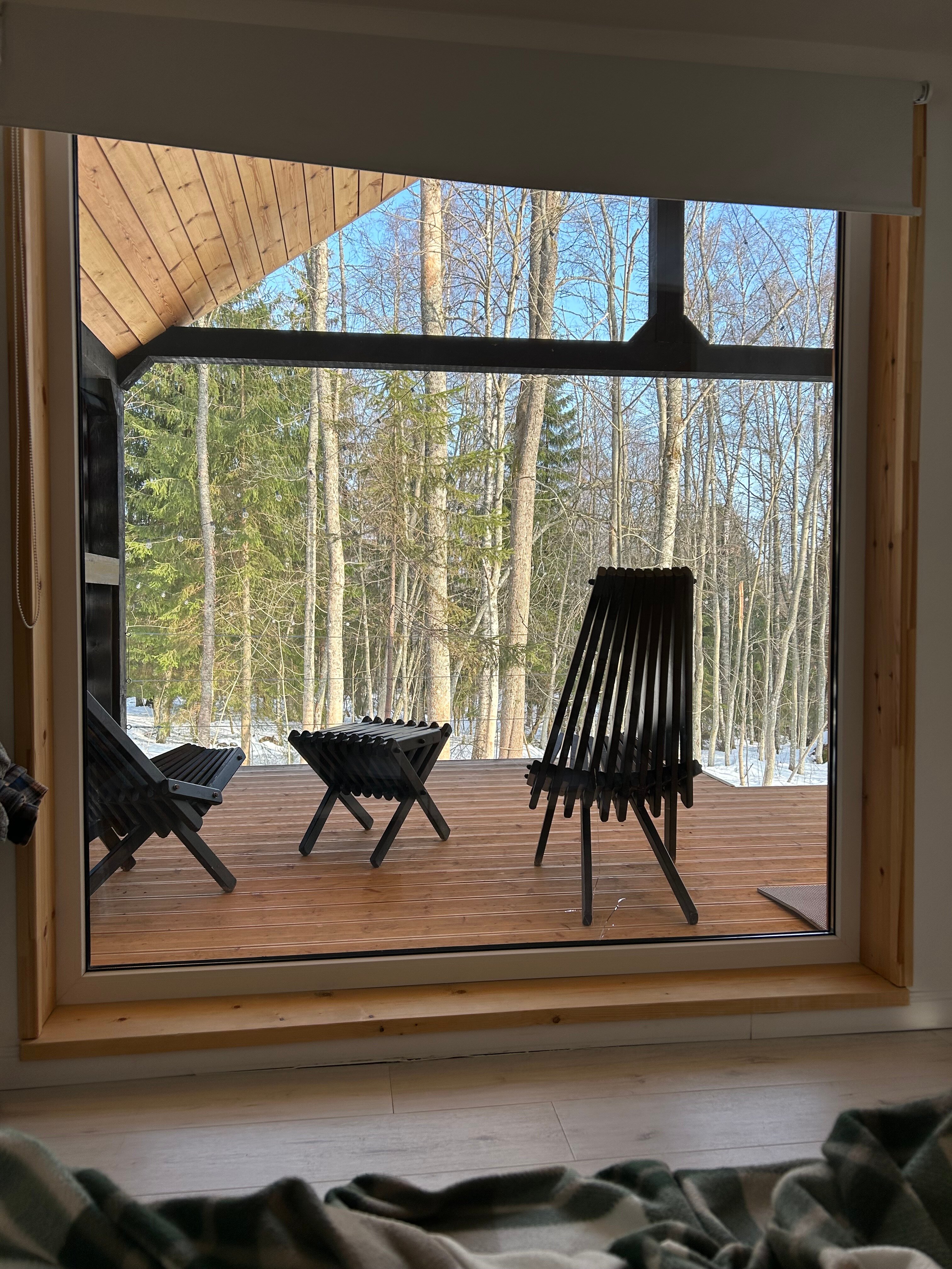 Фото Лес и Гора