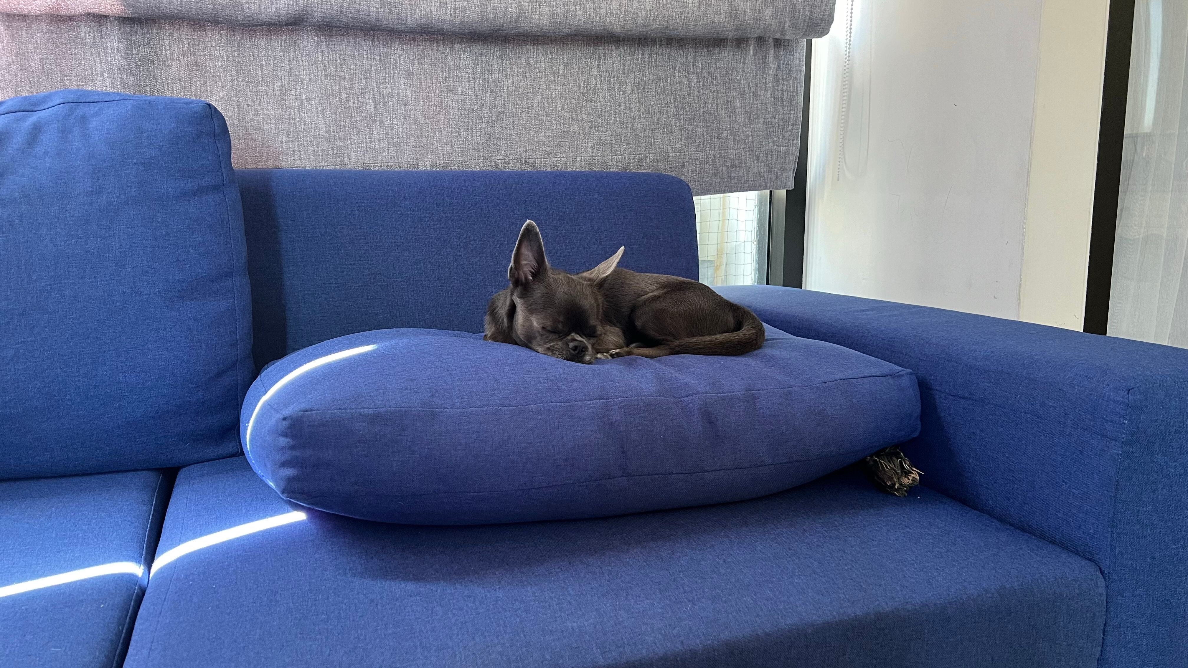 Фото Palmyrah Surin by Lofty