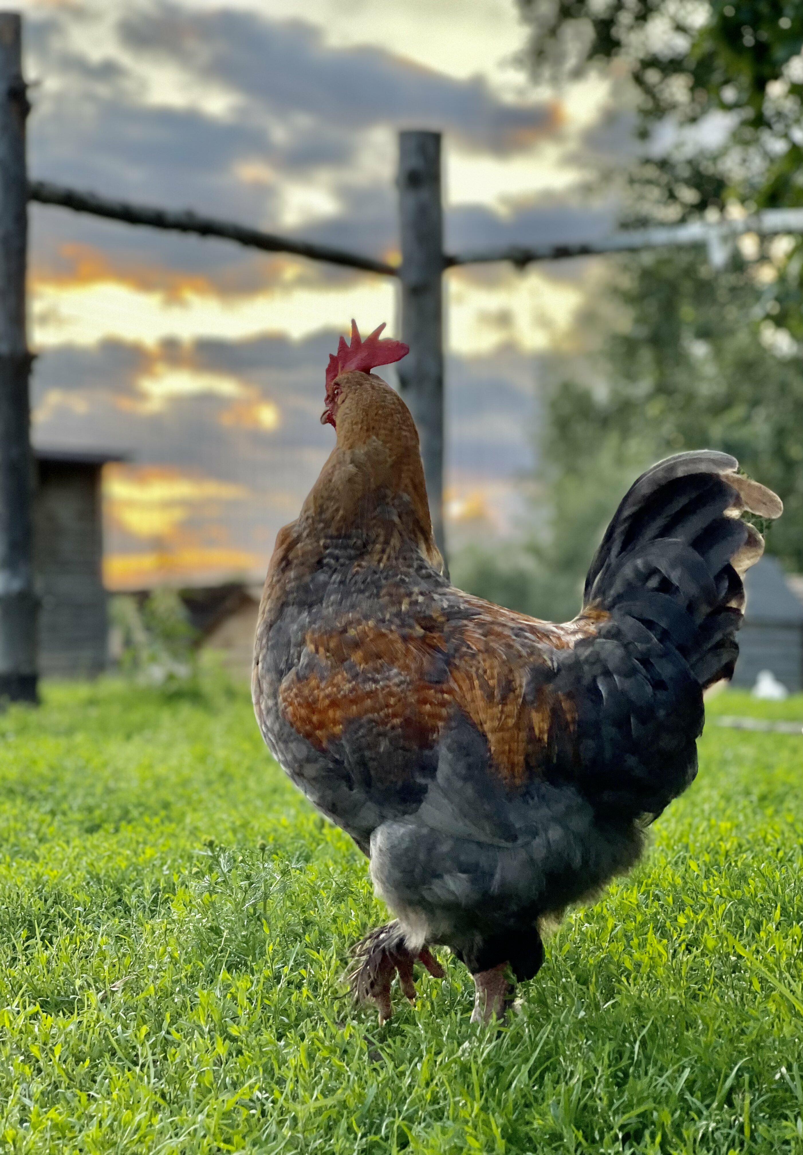 Фото Усадьба купца Баева