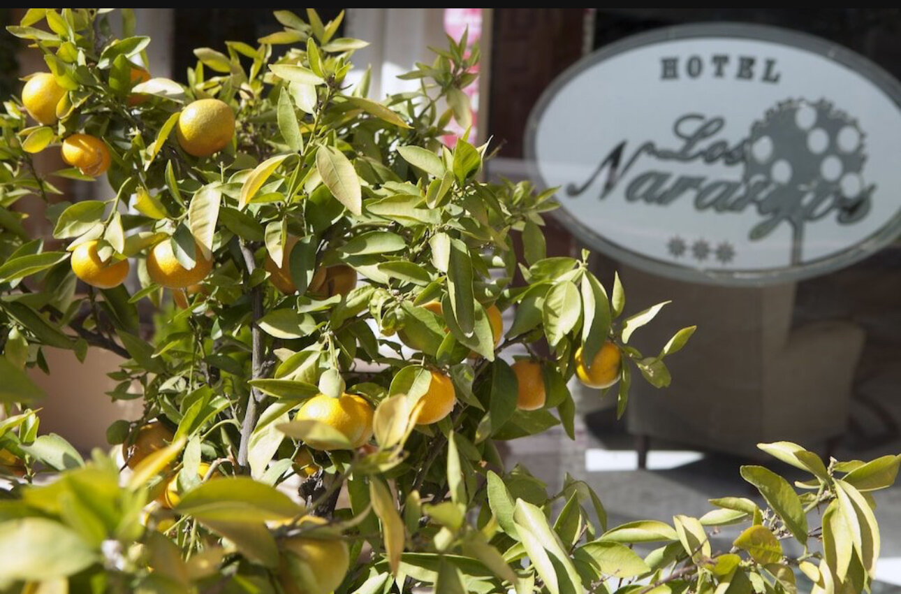Фото Hotel Soho Boutique Los Naranjos