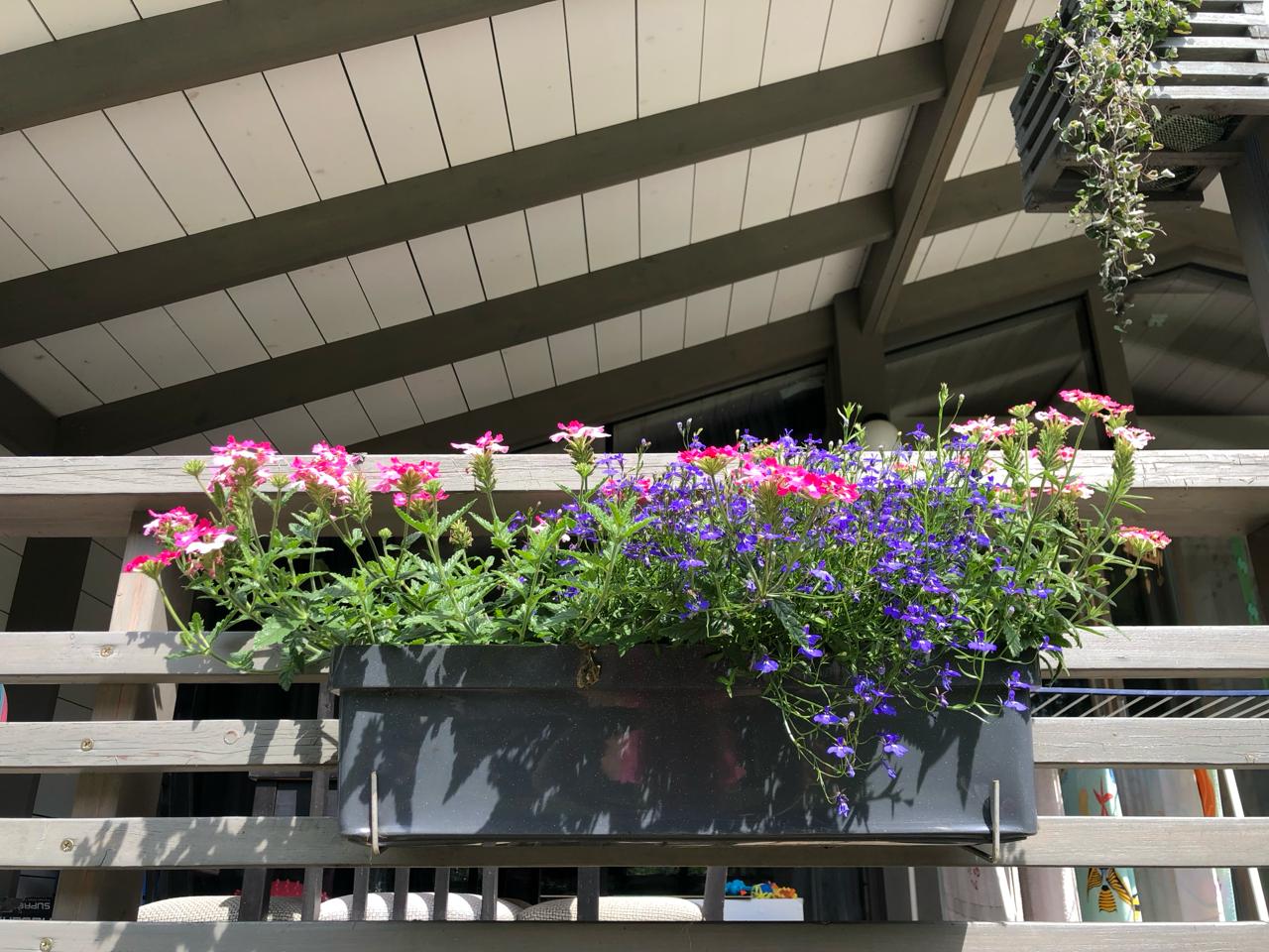 Фото Рузские Горки