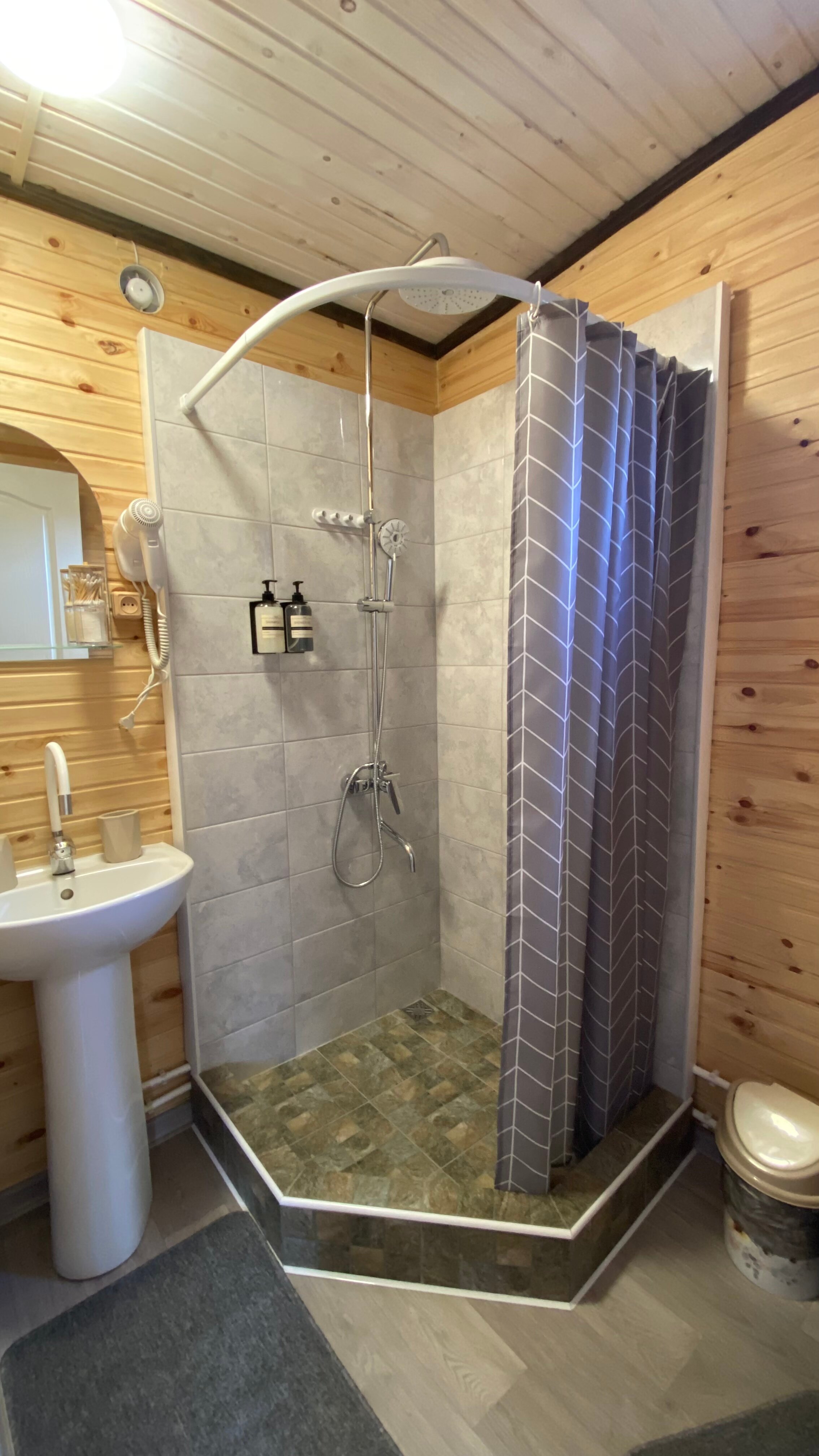 Фото Шишкин лес