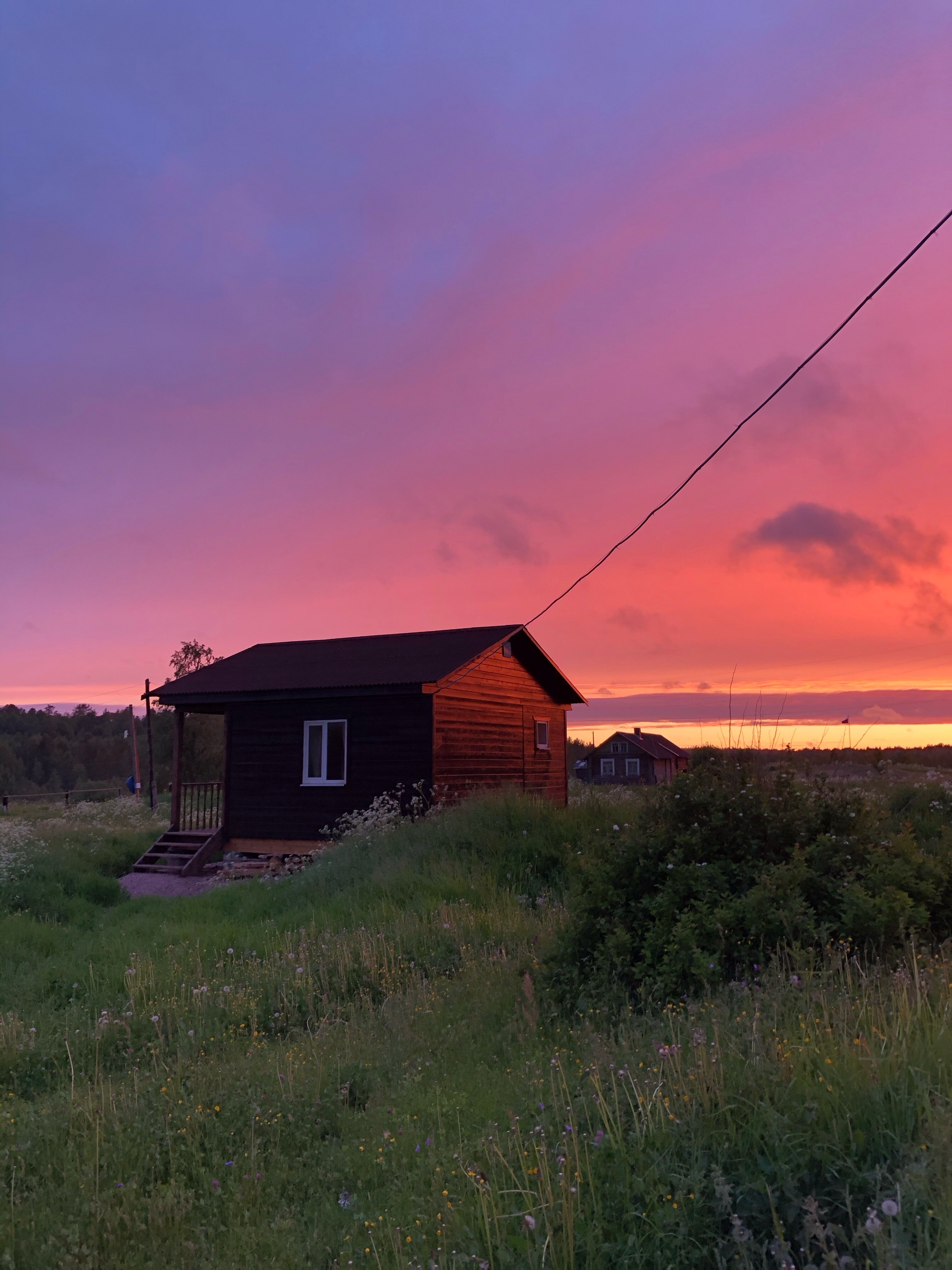 Фото Кот и Лось