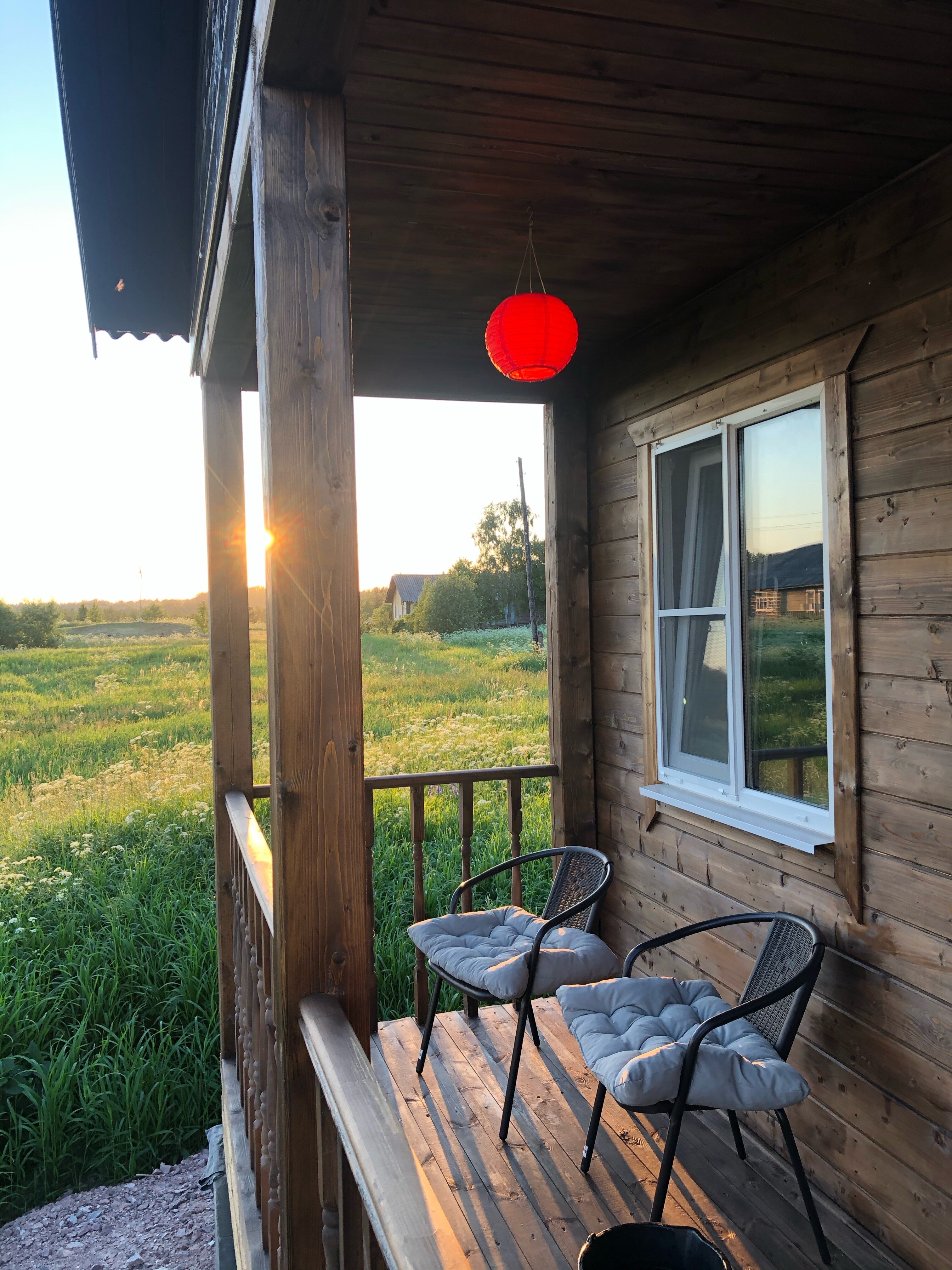 Фото Кот и Лось