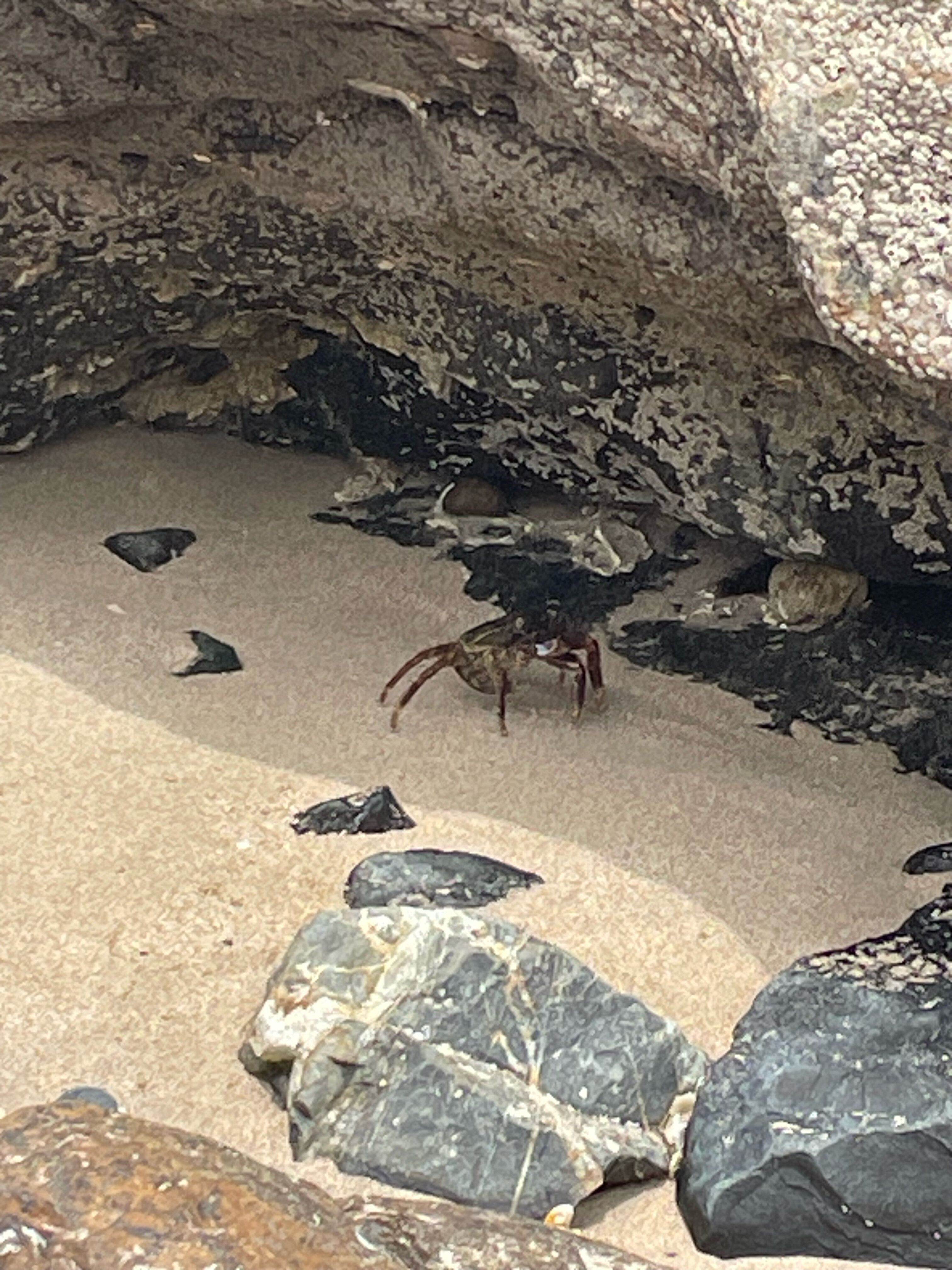 Фото Radisson Blu Resort Fujairah