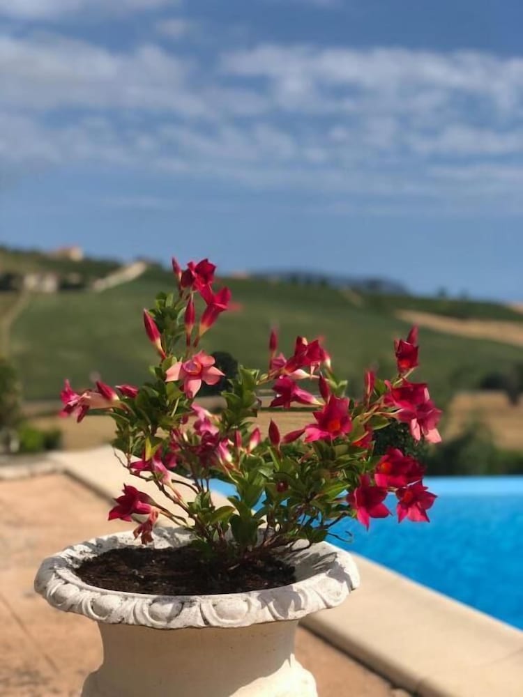 Фото B&b Casa Fanny