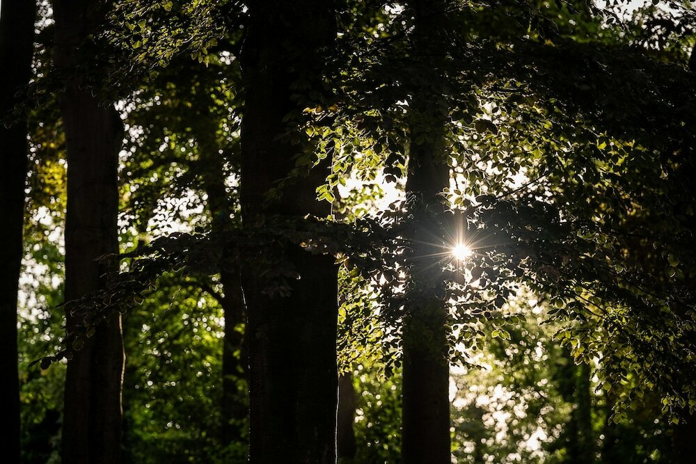 Фото Boutique Hotel 't Fraeyhuis