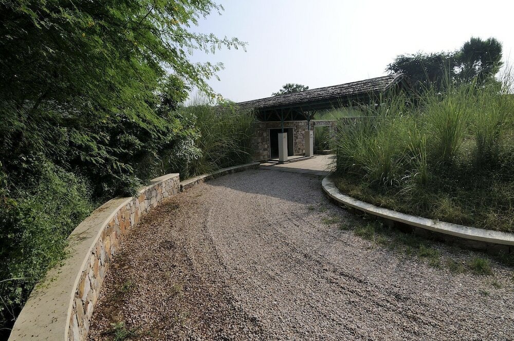 Фото Trees & Tigers