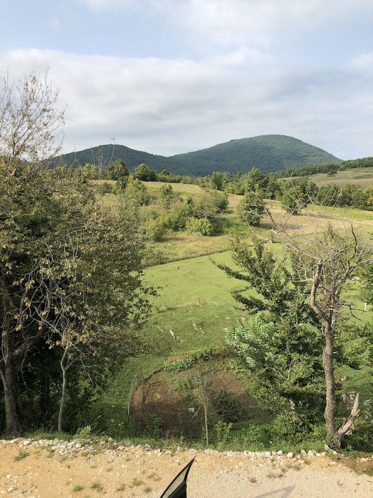 Фото House Flora