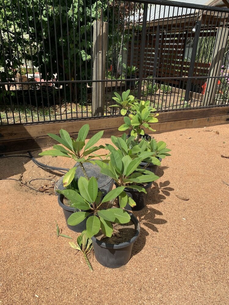 Фото Central Motel