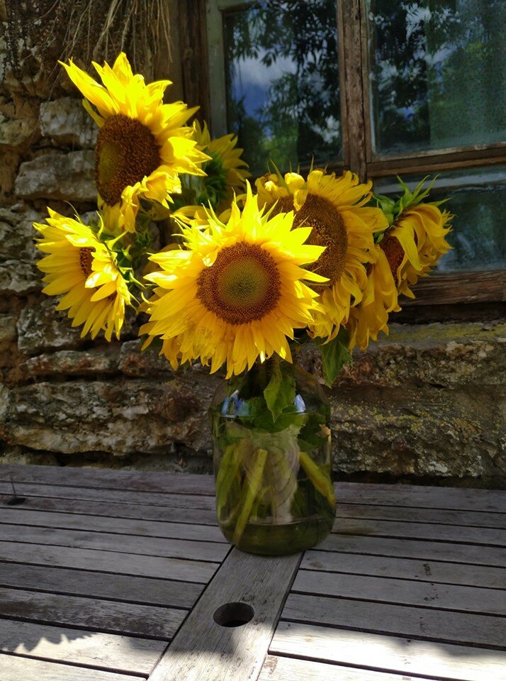 Фото Старая мельница