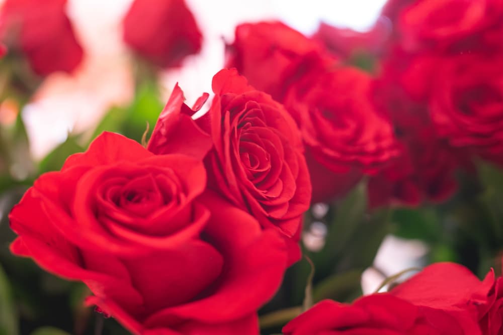 Фото La Spezia by The First