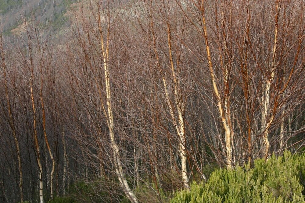 Фото Posada Javier