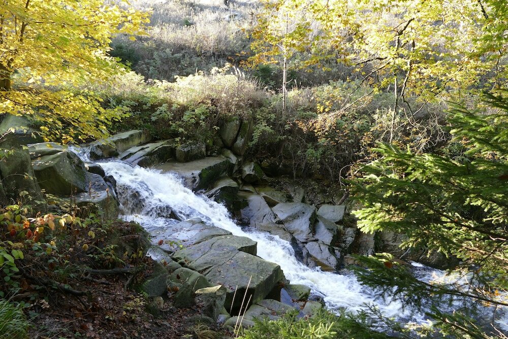 Фото Altstadthotel Ilsenburg