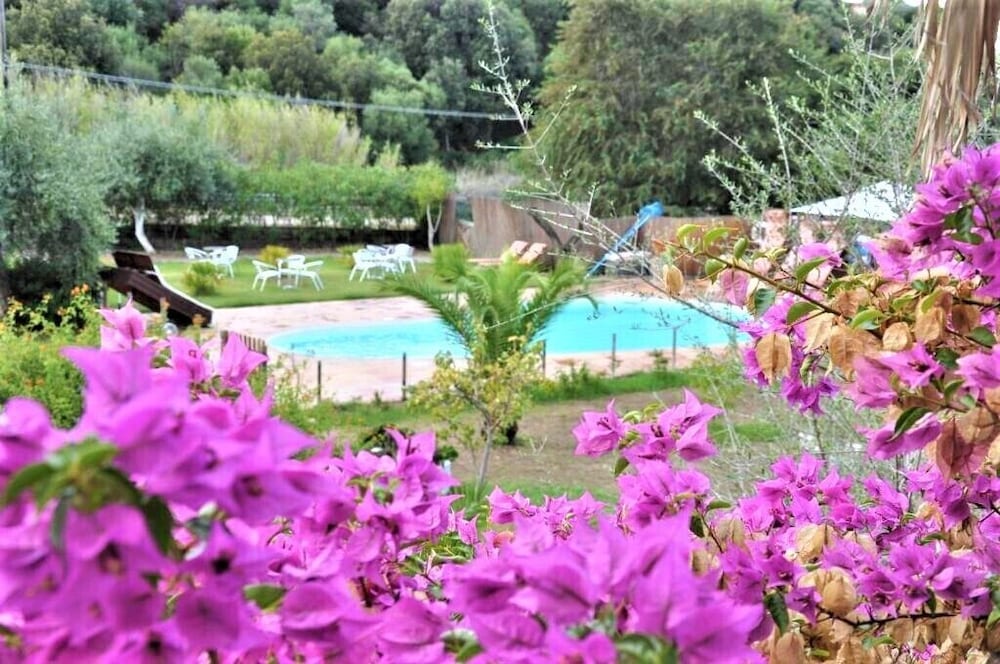 Фото Villa Agnese