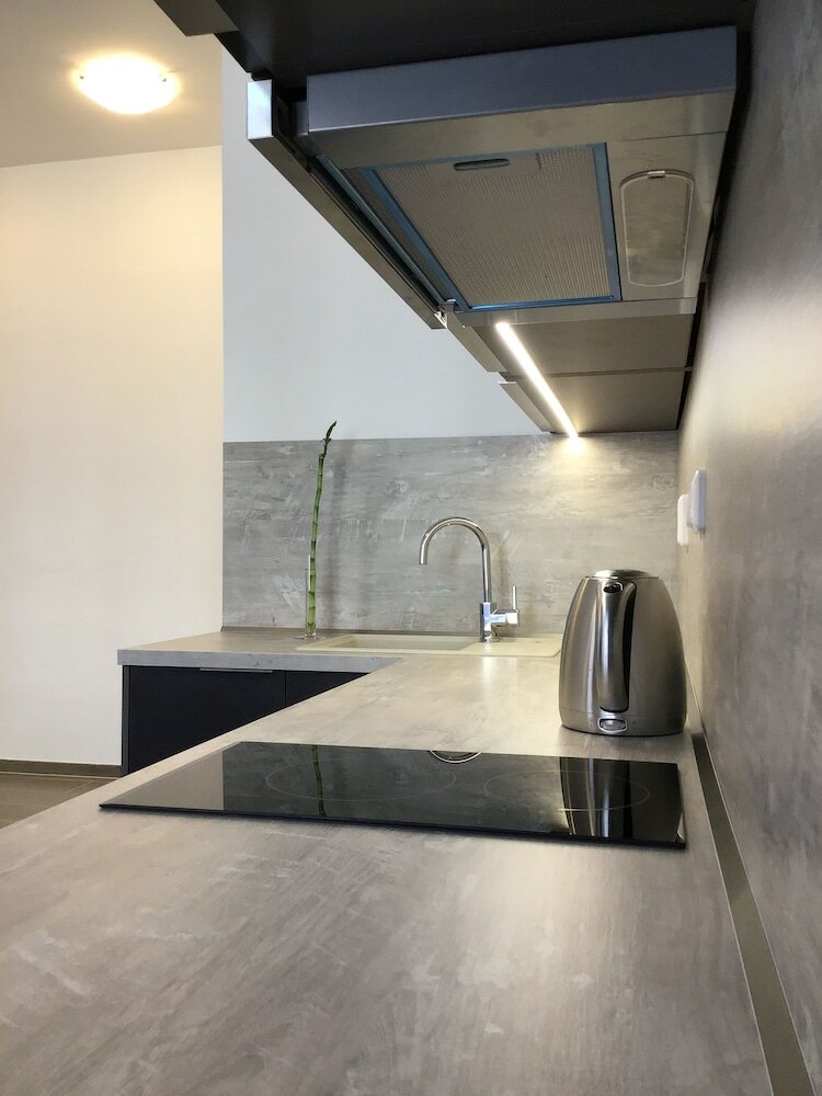 Фото Euro Apartments Lidická 39 Brno