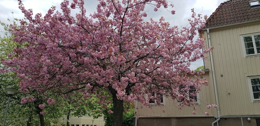 Фото Huskvarna Hotell & Vandrarhem