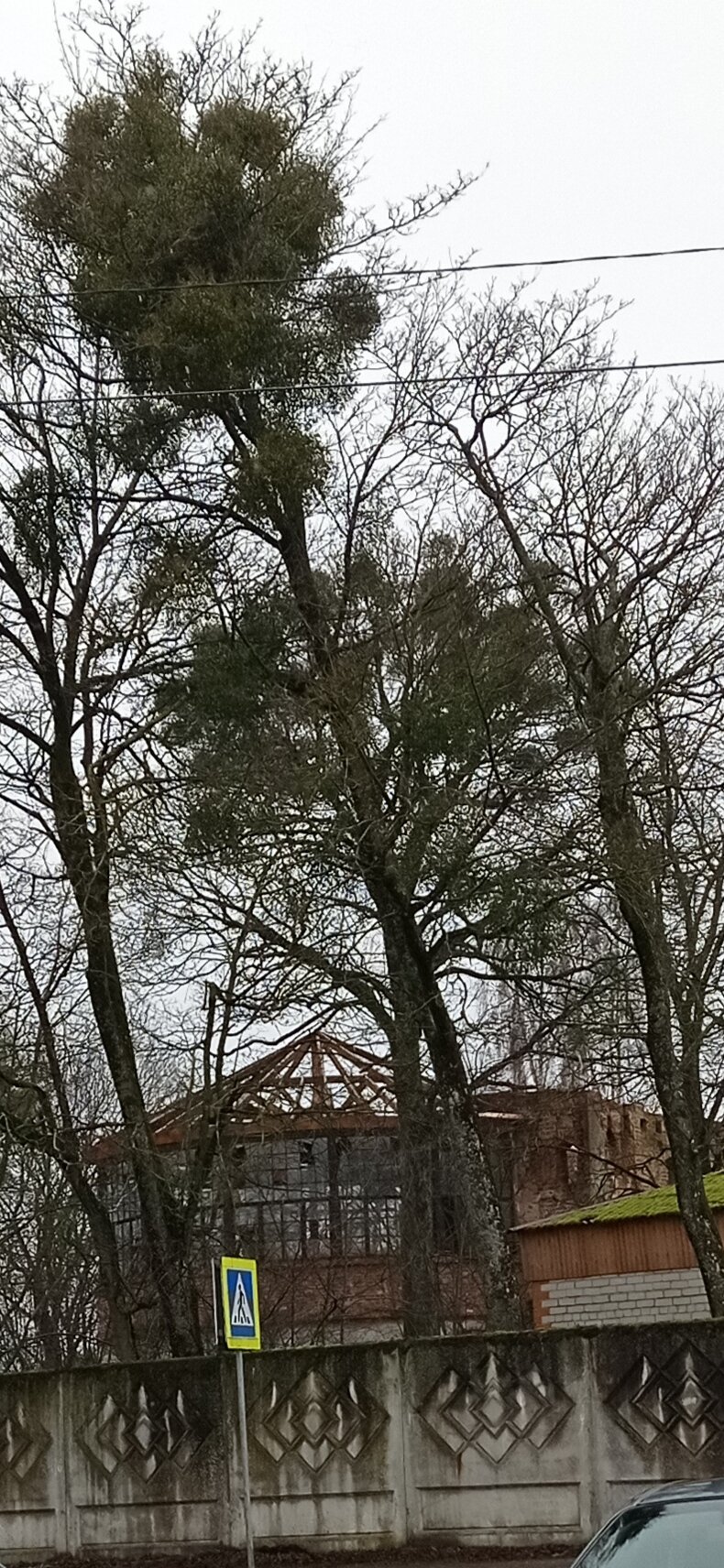 Фото Вилла Татьяна