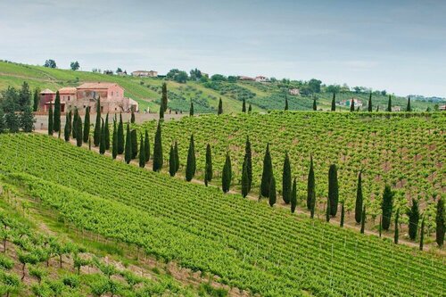 Гостиница Agriturismo Contado San Lorenzo