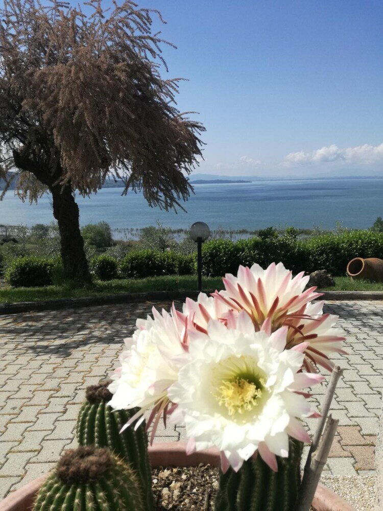 Фото B&b Torre del Lago Trasimeno