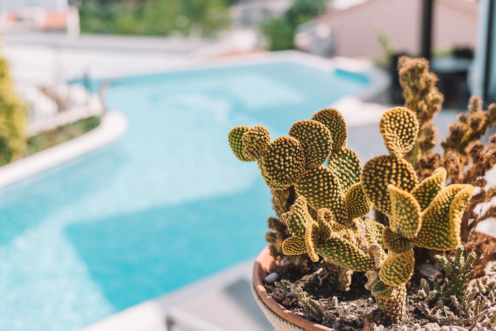 Фото Apartments Bazar