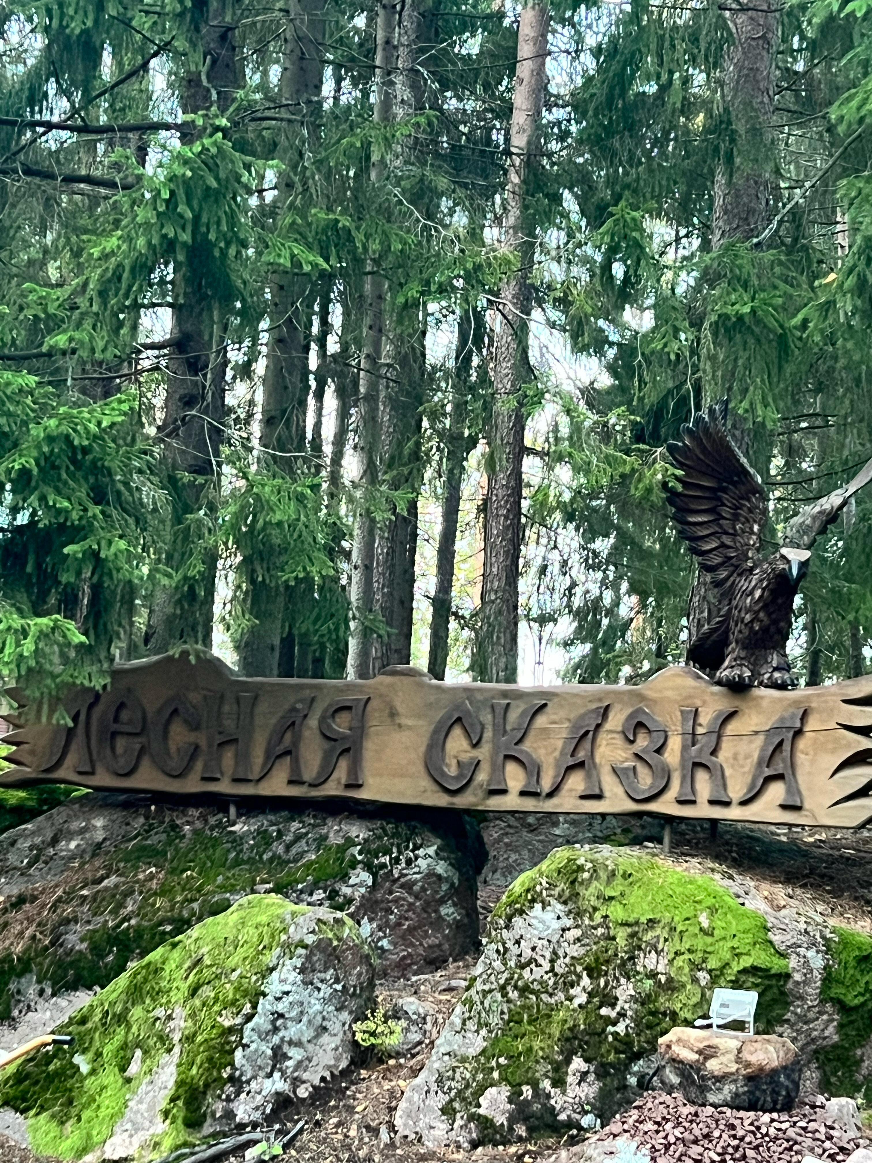 Фото Лесная сказка