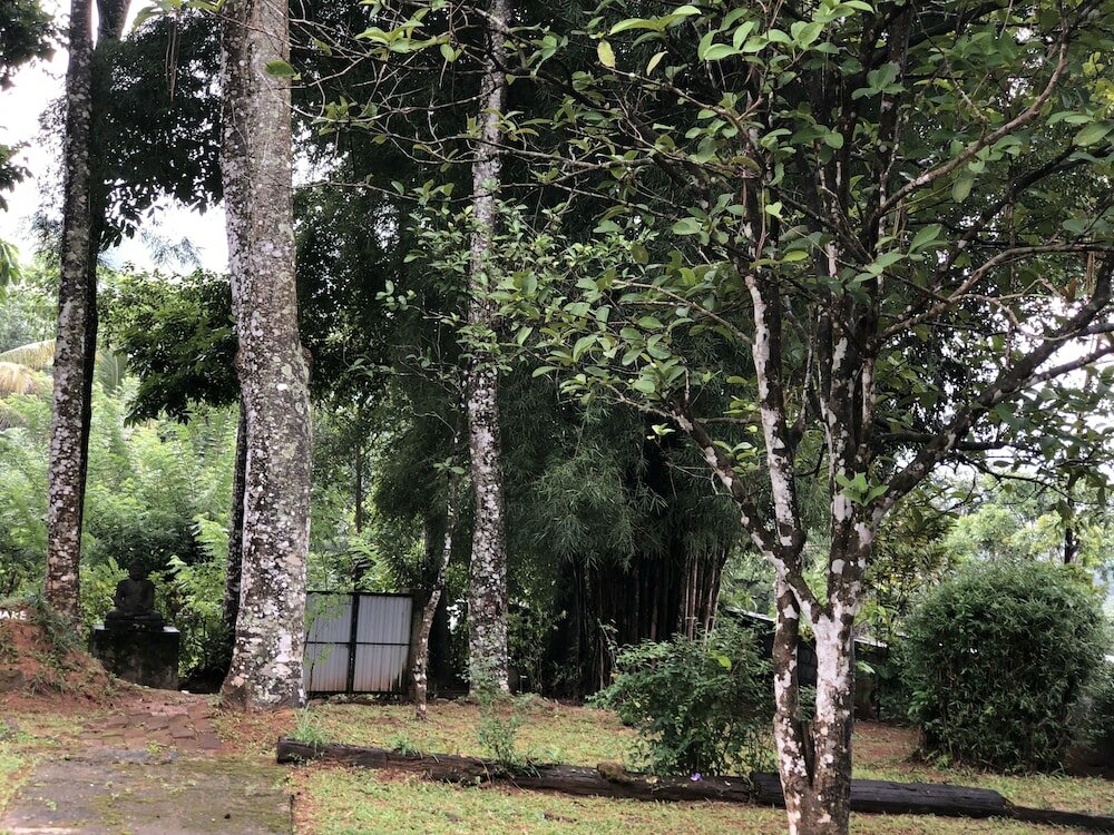 Фото Captain's Lodge