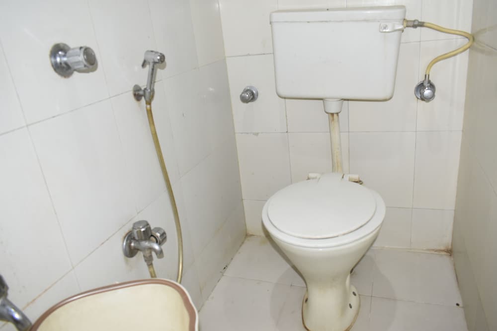 Фото Hotel Shadab Palace