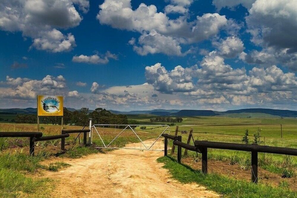 Фото Forellenhof Guest Farm