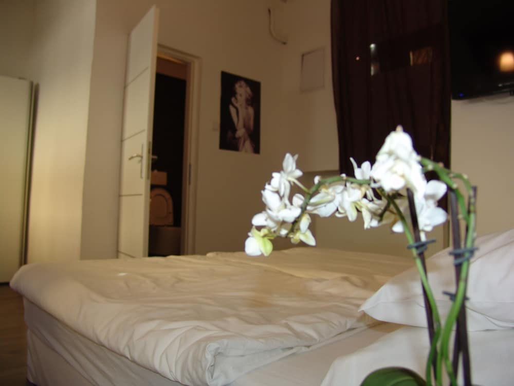 Фото Отель Maksimir