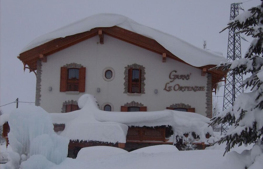 Фото Hotel le Ortensie