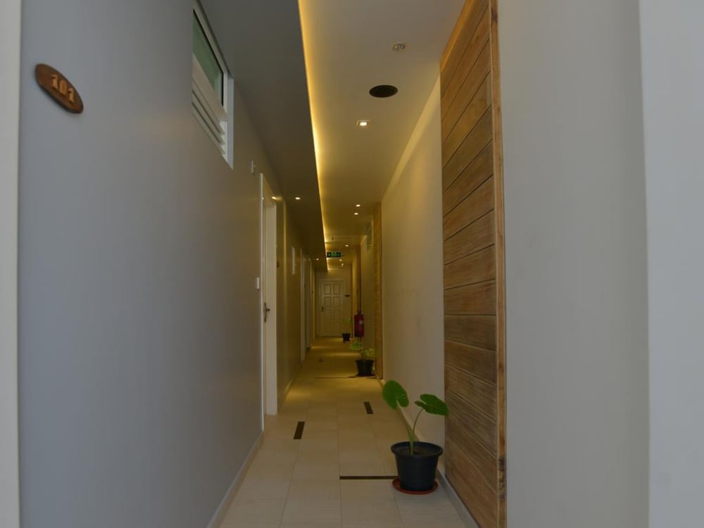 Фото Coconut Tree Hulhuvilla Beach