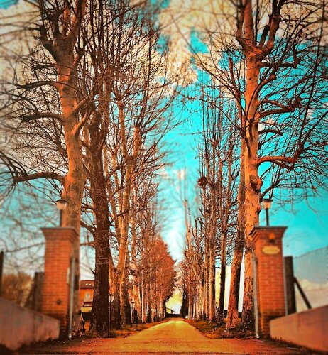 Гостиница La Ferté restaurant and suites в Асти