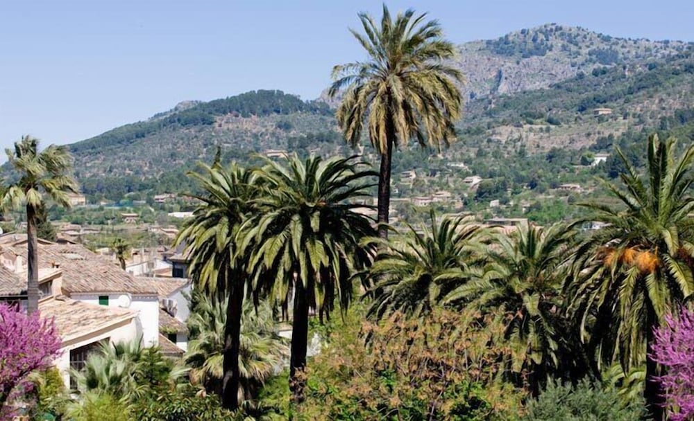 Фото Hotel Ca'l Bisbe